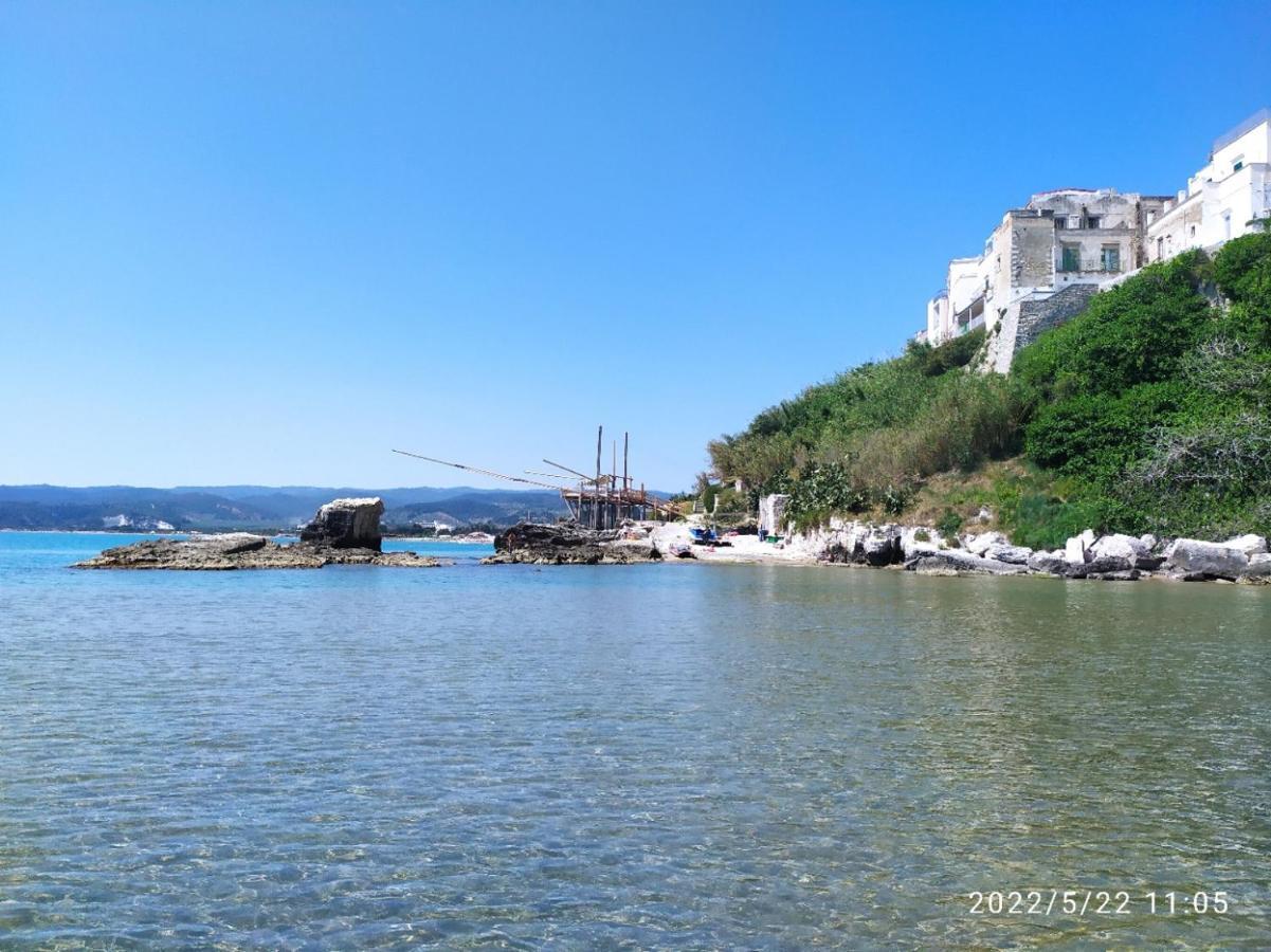 Casina Viestana Villa Vieste Eksteriør billede